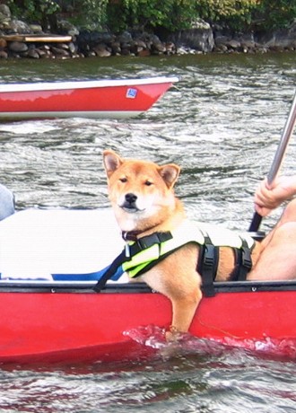 kaiju-canoe